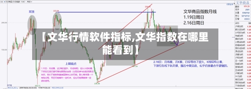 【文华行情软件指标,文华指数在哪里能看到】