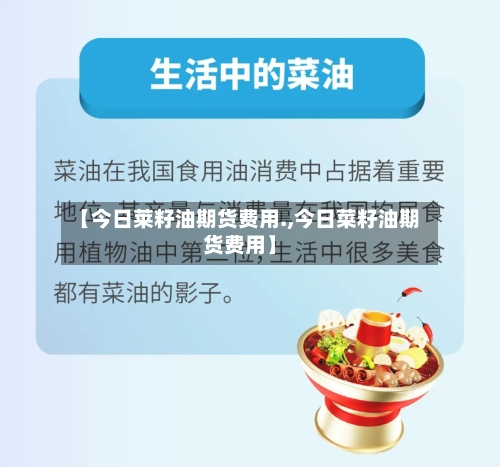 【今日莱籽油期货费用.,今日菜籽油期货费用】-第2张图片