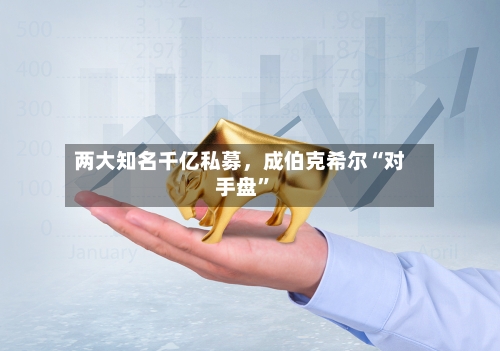 两大知名千亿私募，成伯克希尔“对手盘”-第3张图片