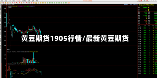 黄豆期货1905行情/最新黄豆期货