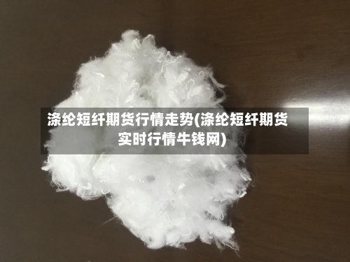 涤纶短纤期货行情走势(涤纶短纤期货实时行情牛钱网)-第3张图片
